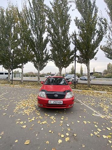 Toyota: Toyota Corolla: 2003 г., 2 л, Механика, Бензин, Универсал — 20