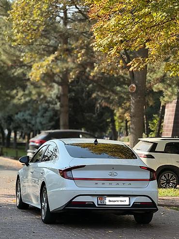 соната лизинг: Hyundai Sonata: 2020 г., 2 л, Автомат, Газ, Седан — 7