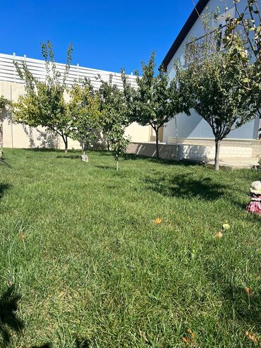 Bağ evlərinin satışı: Bakı, Kürdəxanı qəs., 190 kv. m, 5 otaqlı, Hovuzlu, Kombi, Qaz, İşıq — 23