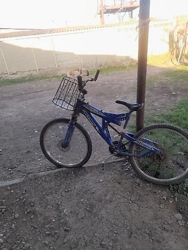 SİM-kartlar: Nömrə: ( 051 ) ( 9178236 ) — 21