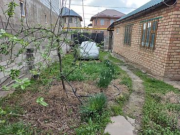 пишпек 2: Бишкек, Ленинский р.н, ж/м Ак-Ордо ( конечный остановка автобуса 215) — 4