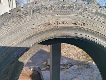 гоформ шины в бишкеке цена: Шиналар 175 / 65 / R 14, Кыш, Жеңил унаалар, Dunlop