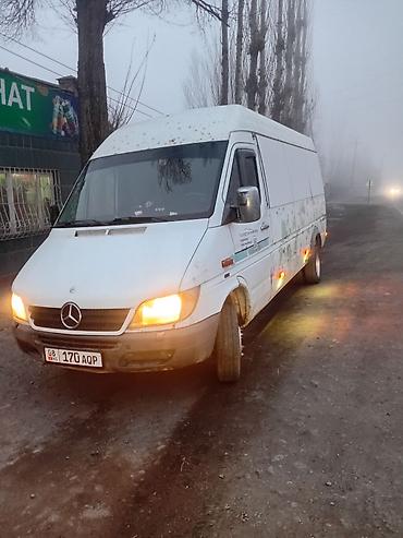Mercedes-Benz: Mercedes-Benz Спринтер: 2003 г., 2.9 л, Механика, Дизель — 7