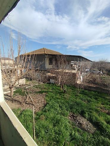 Torpaq sahələrinin satışı: Kənd təsərrüfatı — 19