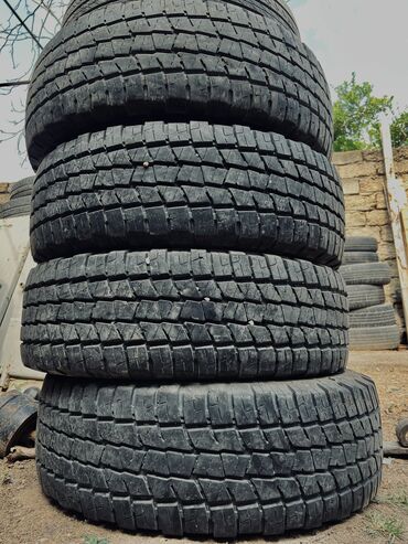 çeşka disk: İşlənmiş Şin Petlas 245 / 70 / R 16