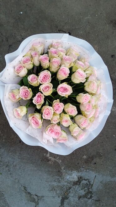 Цветы и букеты: 51 роза и 101 роза 24/7 Акция не дорого‼️ — 4