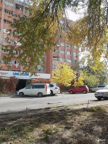 квартира берилет интергельпо: Студия, Менчик ээси, Чогуу жашоосу жок