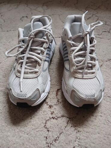 адидас кроссовки оригинал: Кроссовки, 37.5, Adidas Originals, Новый, цвет - Серый, Бесплатная доставка