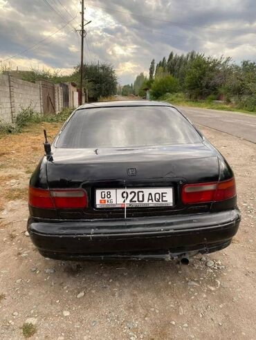 хонда старый кузов: Honda Accord: 1994 г., 1.8 л, Механика, Бензин, Седан