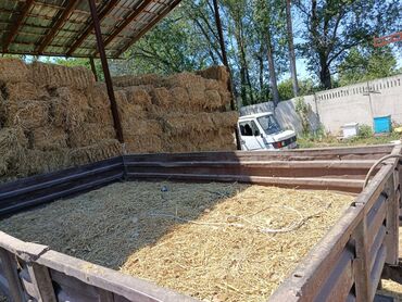 радиатор на опель вектра б: Прицеп сатылат