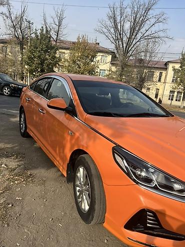 соната продажа: Hyundai Sonata: 2020 г., 2 л, Автомат, Газ, Седан — 1