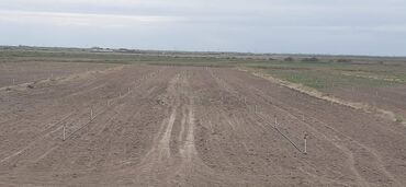 Torpaq sahələrinin satışı: 40000 sot, Kənd təsərrüfatı, Mülkiyyətçi, Müqavilə — 4