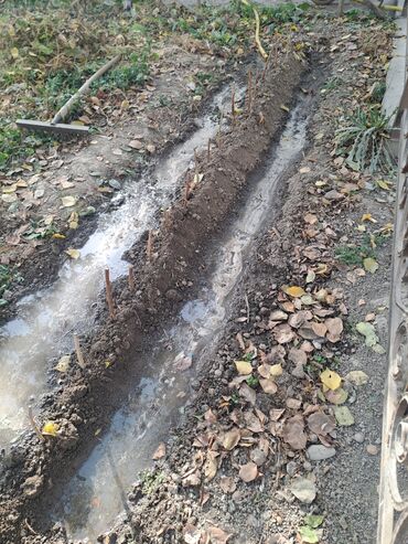 макаруны от сабины цена бишкек: Үй жана бакча үчүн декор, Акылуу жеткирүү, Өзү алып кетүү