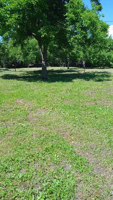 besplatno odnosenje starog namestaja novi sad: Kosenje trave trimerompo aru bez skupljanje i odnosenja trave