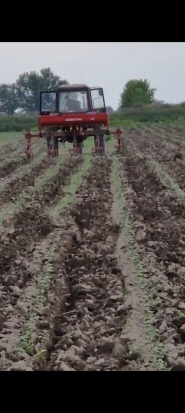 xirdalanda torpaq: 2000 sot, Kənd təsərrüfatı, Kupça (Çıxarış)