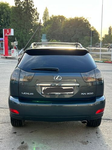 пассат 2004: Lexus RX: 2004 г., 3.3 л, Автомат, Газ, Кроссовер