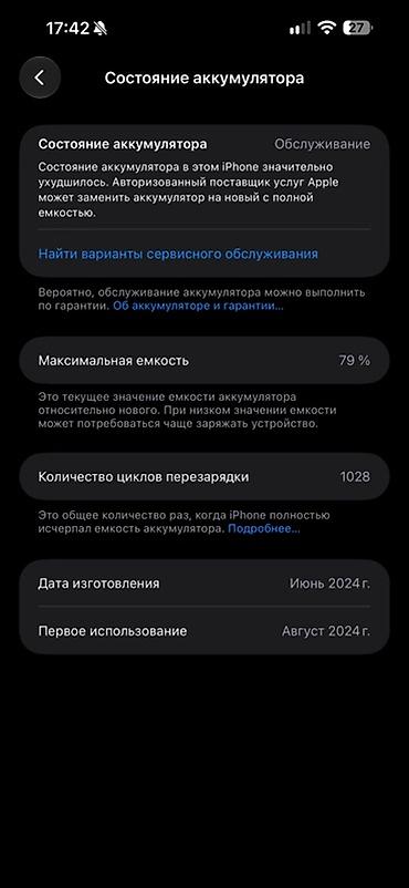 13 plus: IPhone 15 Pro Max, Б/у, 256 ГБ, Серебристый, Защитное стекло, Чехол, 79 % — 8