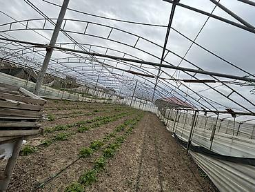 dam ortukleri: İstixana kompleksi – dam örtüyü karkaslı, tam işlək əkin sahələri və — 8