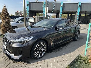 work kiwami: Kia Stinger: 2017 г., 2 л, Автомат, Бензин, Фастбек — 3