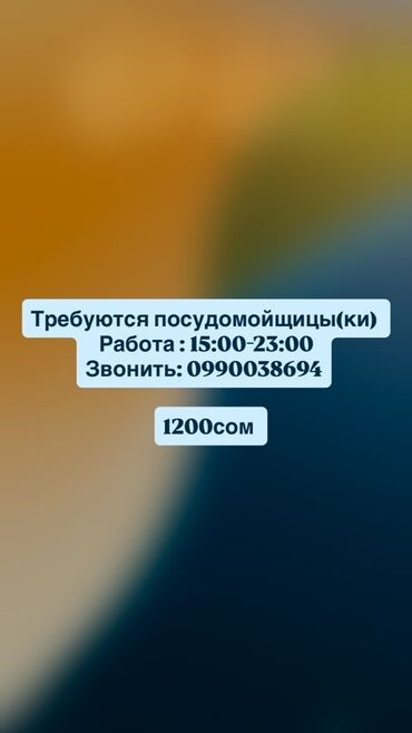 работа бишкек посуда: Вакансия: посудомойщица/посудомойщик - График работы: 15:00–23:00 -