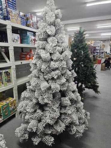 novogodisnje jelke 3m: Christmas tree, New