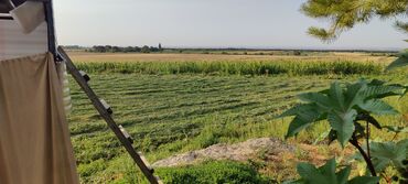 Сельхоз предприятия: Продается Кашара Фермерское- хозяйство с действующим бизнесом и с — 29