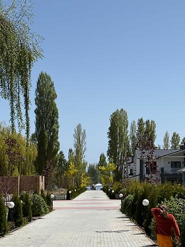 Отдых на Иссык-Куле: Коттедж, Chaika Resort, Сары-Ой, 10 мест — 6