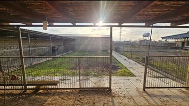 Həyət evləri və villaların satışı: 2 otaqlı, 5000 kv. m, Kredit yoxdur, Təmirsiz — 2