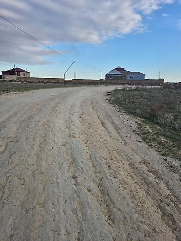 Torpaq sahələrinin satışı: 16 sot, Mülkiyyətçi, Kupça (Çıxarış) -da lalafo.az — 11 Torpaq sahələrinin satışı: 16 sot, Mülkiyyətçi, Kupça (Çıxarış) — 11