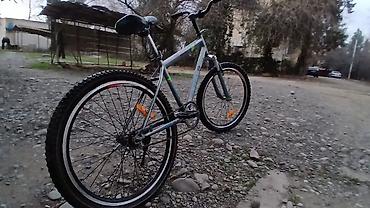 ea fc 26: Şəhər və yüngül off-road üçün universal dağ velosipedi 24luk — 2