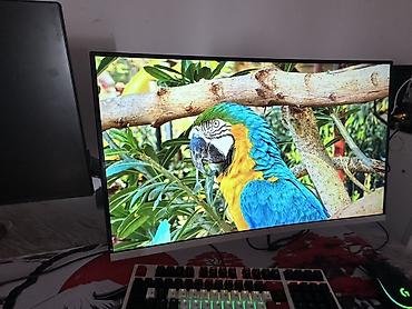 samsung syncmaster 943n 19: Изогнутый компьютерный монитор с кронштейном - Диагональ около — 1