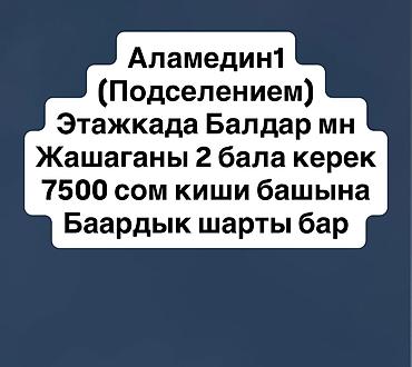 каинды долгосрочно: 2 комнаты, Аламедин-1 мкр Собственник, Только парням, от 6 месяцев, С мебелью частично — 1
