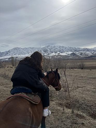 Туристические услуги: Конная прогулка - это мощнейшая эмоциональная встряска, которая — 8