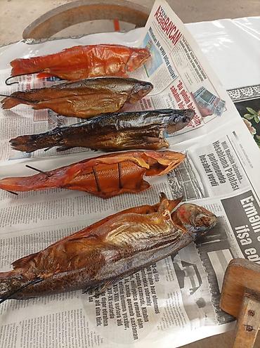 Salmon: Təbii üsulla hazırlanmış hisə verilmiş balıqlar. Təzə hazırlanıb — 3