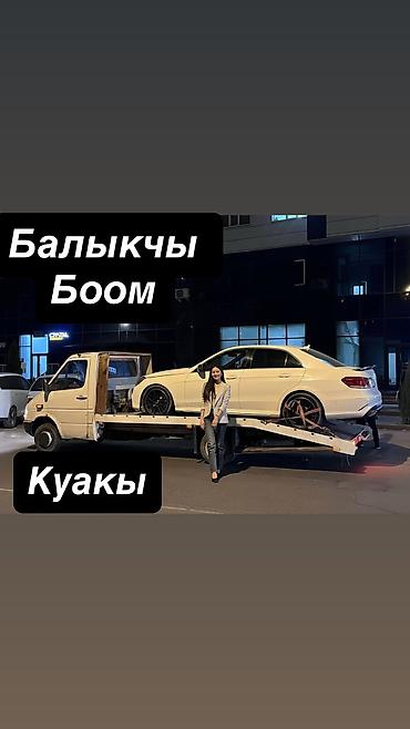 hongqi e: С манипулятором — 1