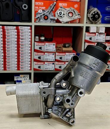opel merva: Məhsul: Chevrolet Cruze Orginal Kitabça GM yağ filter korpusu və yağ — 1