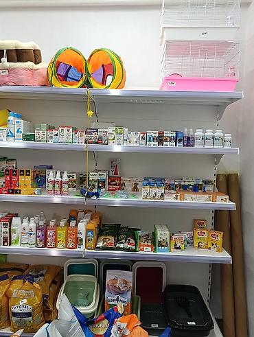 купить кошку в бишкеке: ?агазин Ветинтерсервис, Люксембург Ленина 143 — 8
