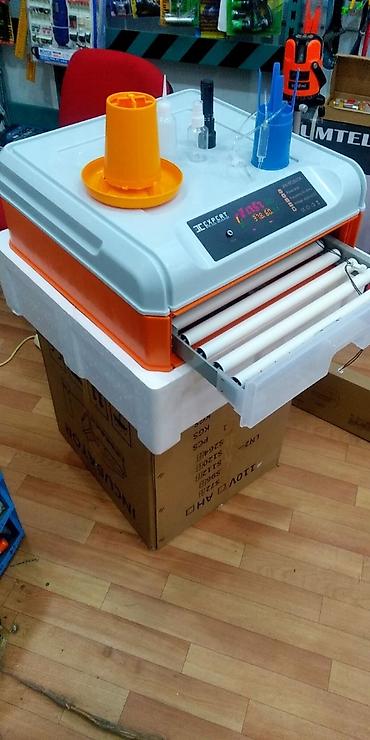 Kənd təssərüfatı avadanlığı: Inkubator inkubatorlarin birinci əl satişi mağazamizda olan inkubator — 6