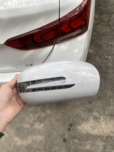 Radiatorlar: Məhsul: Avtomobilin yan güzgüsünün korpusu və dönmə siqnalı (LED