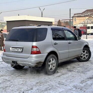 mercedes e320 цена: Mercedes-Benz M-Class: 2002 г., 5 л, Автомат, Бензин, Внедорожник