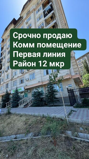 продаю помещение в центре: Продаю Офис 160 м², С ремонтом, Без мебели, Многоэтажное здание, 1 этаж