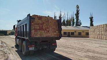кирпичный апарат: Полнотелый, таблетка, Жженый кирпич, Одинарный, 250×120×65 — 3