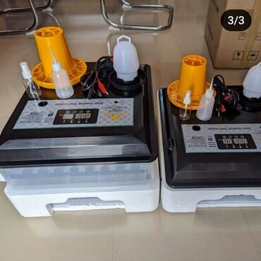 Digər quşlar: Smart-rejimli inkubatorlar satılır. Aparatlar tam olaraq avtomat, və — 21