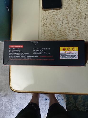 ашка: RJ Tianye 12V Intelligent Pulse Repair Charger – avtomobil və — 3