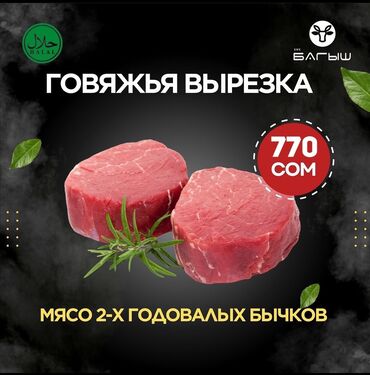 эт мяса: Антрекот, бон филе, мясо, говядина, баранина оптом и в розницу!