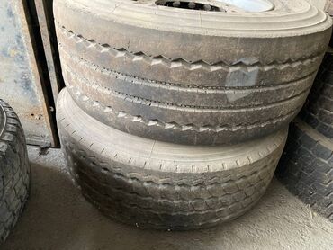 купить шипованную резину: Дөңгөлөктөр монтажда 385 / 55 / R 22,5, Жүк ташуучу унаалар/Автобустар, Темир