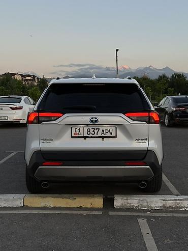 argb controller: Toyota RAV4: 2023 г., Автомат, Гибрид, Кроссовер — 5