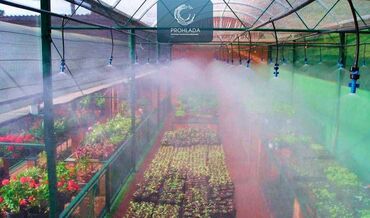 Сварка: 🌿 Системы увлажнения воздуха для тепличных хозяйств 🌫️ Вы хотите