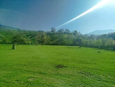 yasamal rayonu: 14 sot, Tikinti, Mülkiyyətçi, Kupça (Çıxarış) — 6