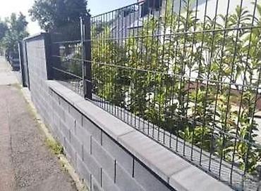 Proizvodi od rolovanog metala, metalni kanali: Panelne ograde 2d 868 mm cink + pvc. Panelne ograde Fence system doo — 15